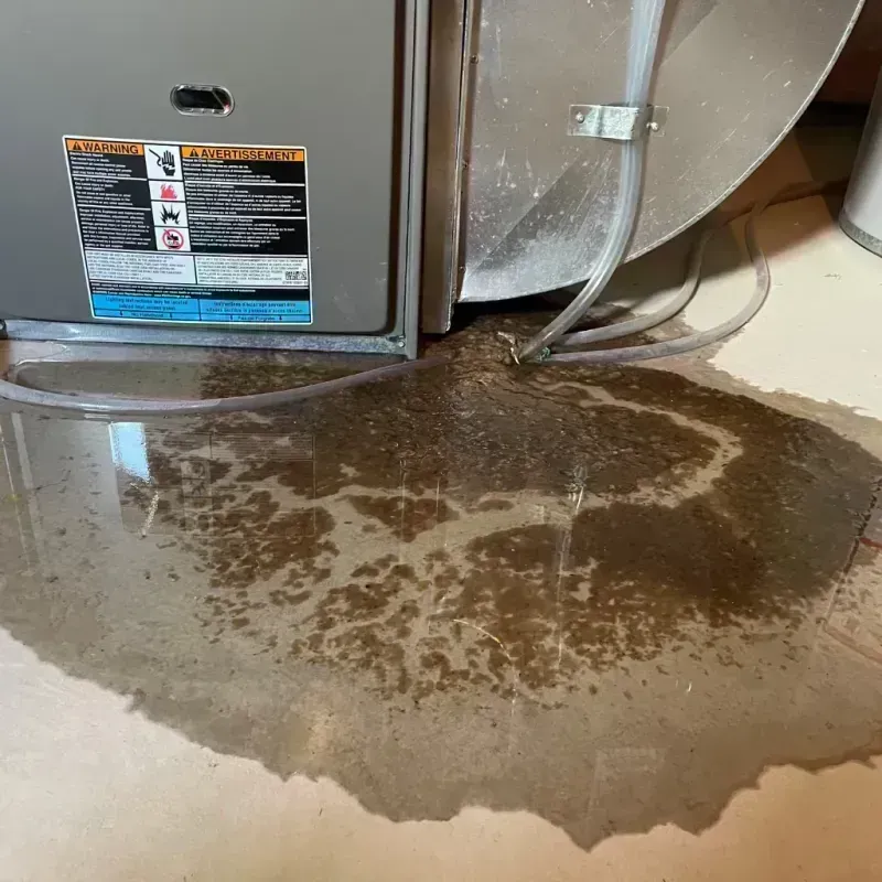 Appliance Leak Cleanup in Thunderbolt, GA